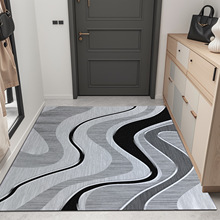 跨境圈绒地毯北欧轻奢高级茶几何抽象家用入户门硅胶防滑耐磨地垫