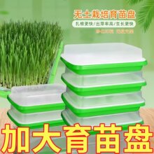 盆水培器皿芽苗菜蒜黄豌豆苗托盘发蒜苗神器豆芽种植专用种蒜育苗