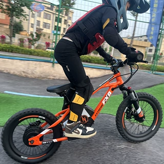 FXB新款16寸eDrive铝合金350W轮毂电机电动平衡训练电竞车摩托车