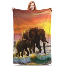 ����̺�����亣����������ܛ���m�ķ��m�q̺�Ӝ�ů�pӯ���m��ë̺