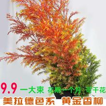 8.9һ����ǧ���ƽ��������л��ʻ�����ˮ��칫�ҿ����廨�ɻ�