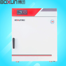 GZX-9246MBE智能控温干燥箱±1℃波动度化工电子行业快速升温烘箱