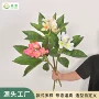 商场装扮打印家居插花