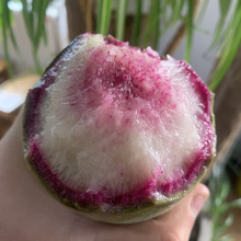 冰激凌水果萝卜紫皮花皮潍坊即食生吃甜脆沙窝冰糖心冰淇淋心里美