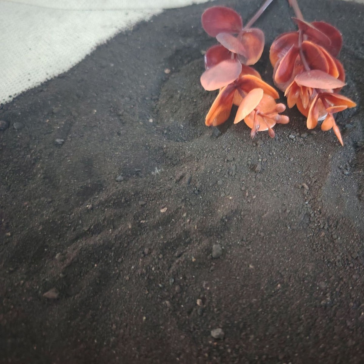 2025-01-19 17:41:50.jpg