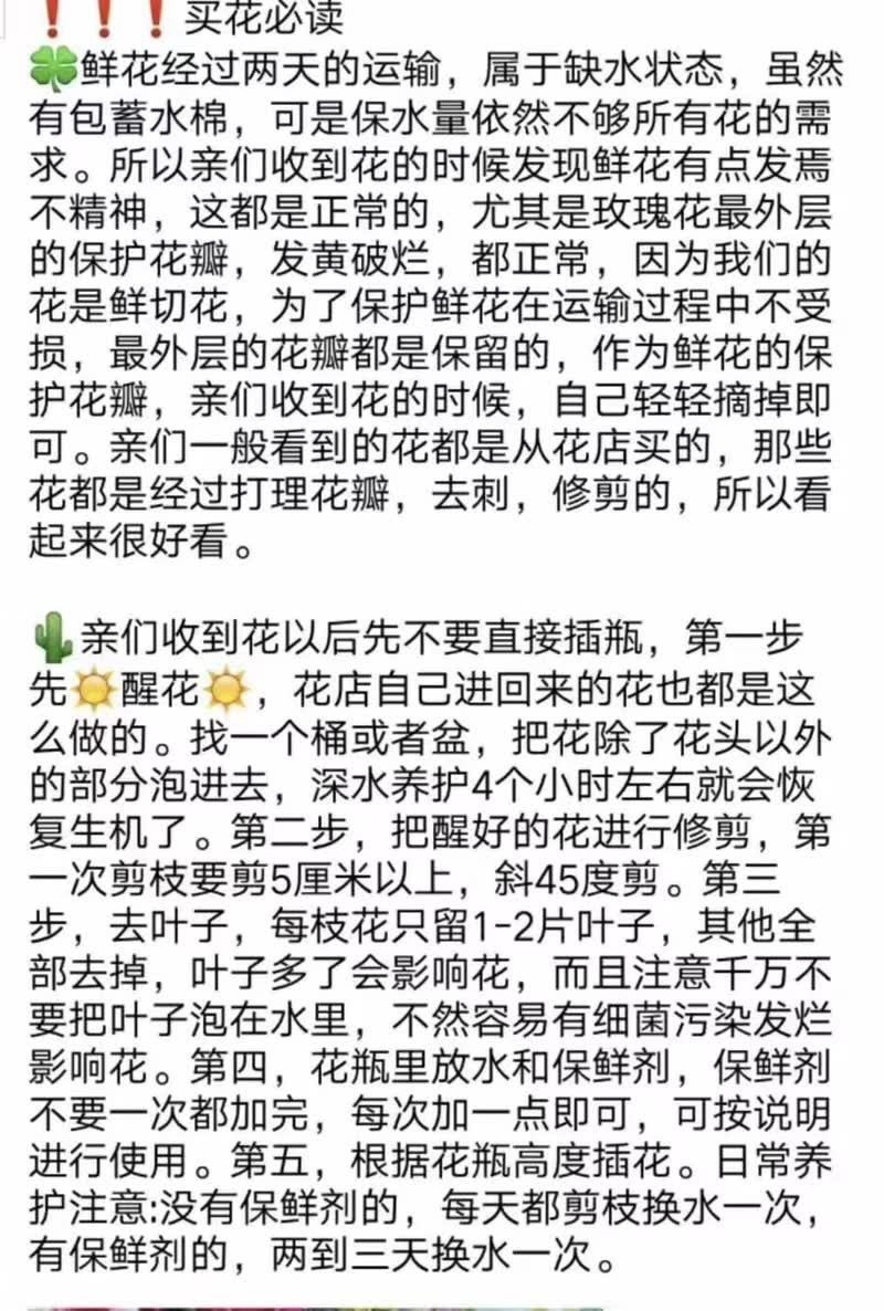 fc4e23b2-826e-4b8a-bc18-4c84b548e0e1.jpe