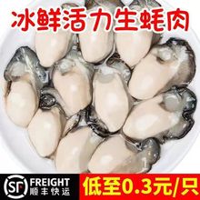 新鲜生蚝肉现剥鲜活海蛎子肉海鲜水产去壳特大冷冻生蚝牡蛎肉包邮