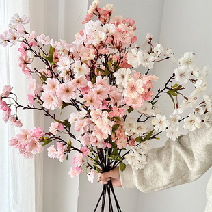 ����ѻ�45�^���~�ѻ��Ҿ��b[���ٻ���c�廨�����쾰�羳���N