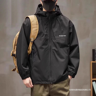 �����\Ʒ�_�h��������2024�¿���Bñ���L�����e���b�A�˴��＾