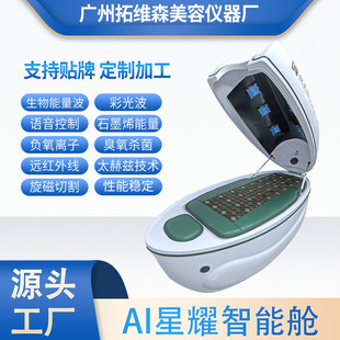 Ai Intelligent Beauty Physiotherapy Health Care Cabin Graphene Bioresonance Energy Cabin Terahertz Sauna Sweat Cabin Space Cabin