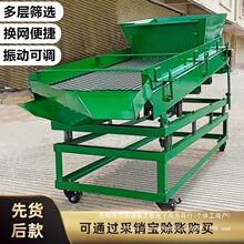 震动筛机电动振动筛选机筛沙机黄粉虫分选机螺蛳药材分级过筛花生