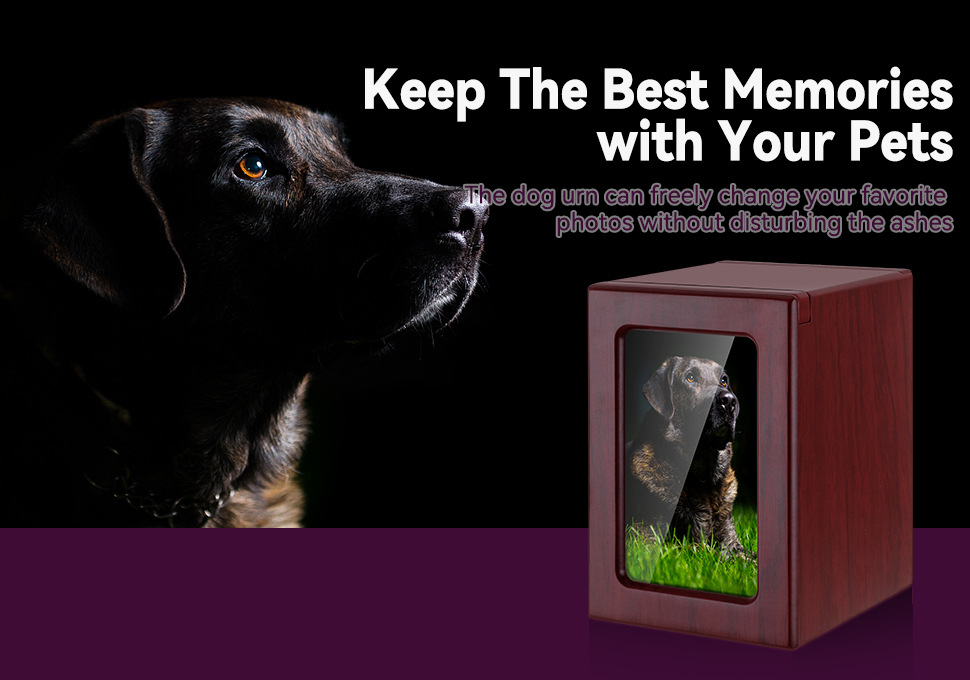 O1CN01NqBIJv1HLQCG9W8cr_!!2212691140741-0-cib.jpg?__r__=1660636590671