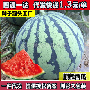 �����������ϷN����������8424���ϷN�ѷN�r�����ļ��������ϷN��