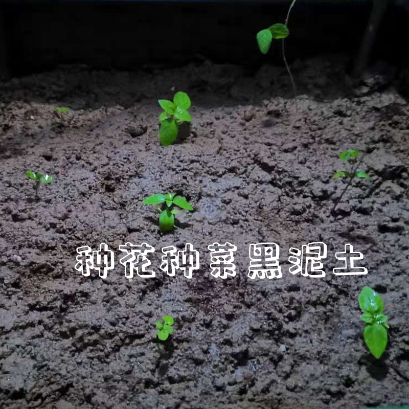 高品質の牧草地直販野菜栽培専用土壌、黄土、庭土、植栽土、花栽培用栄養土|undefined