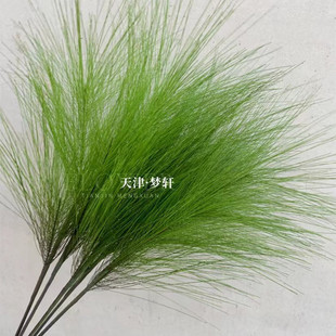 �����Aɽ�ɾGֲ 3���Rβ����ʽ��Yɭϵ�b�c�廨·���������