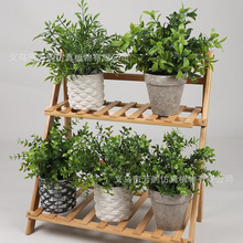 �羳�Ҿ��b�Ʒ�Gֲ�M�� ����ֲ�������~�������������~�����辰