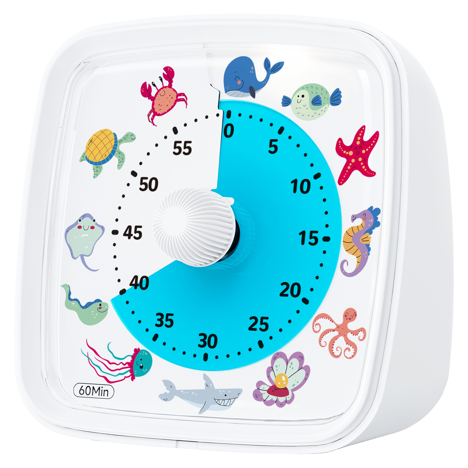 卸売 子供用 学生用 時計 ビジュアルタイマー 越境デジタル学習専用 夜光タイマー