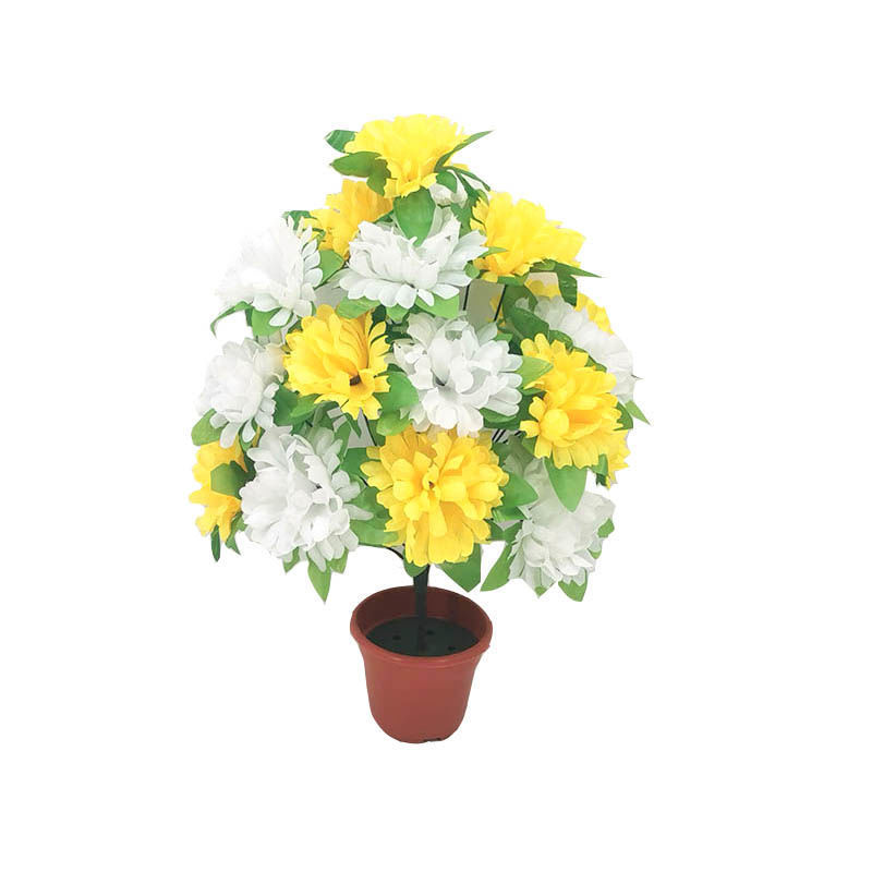 18-head chrysanthemum with leaves (yellow and white) 1 branch - 1 branch + flowerpot quality choice