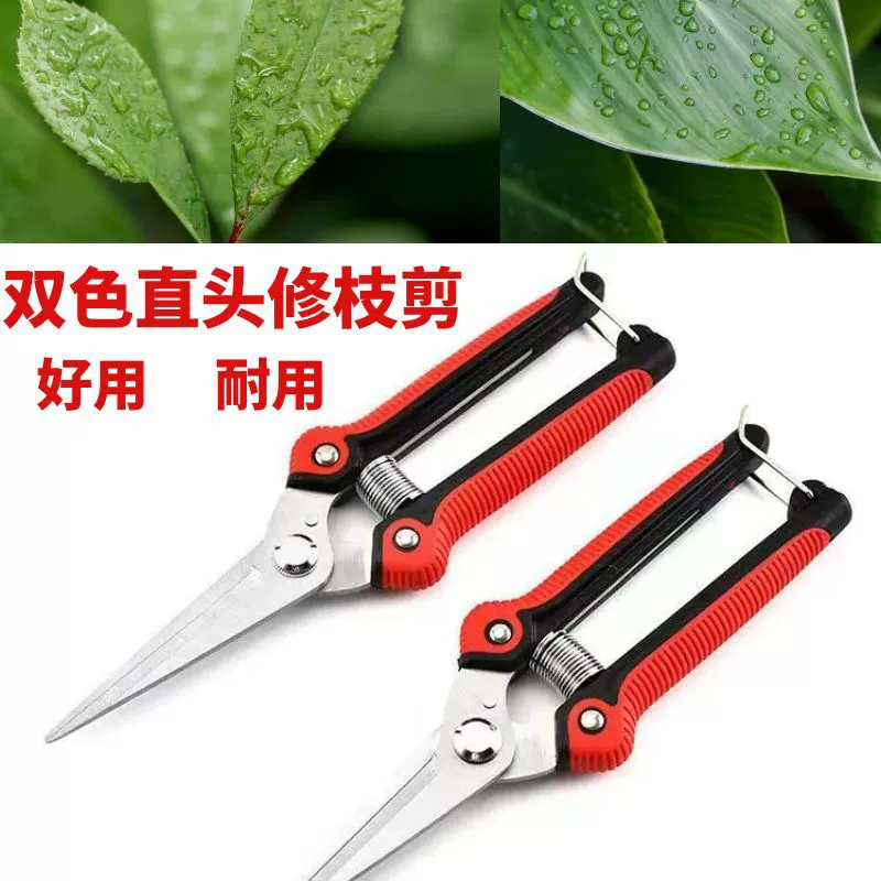 Секатор из нержавеющей стали, садовые ножницы, ножницы для обрезки веток, ножницы для сбора фруктов