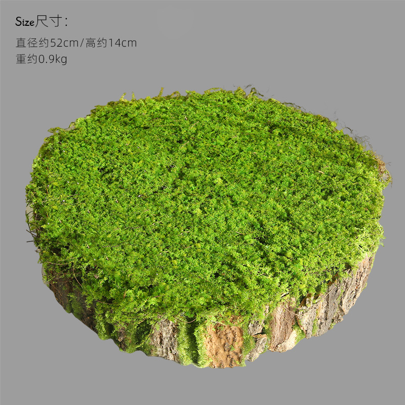 둥근 나무껍질 화분 - 직경 52cm