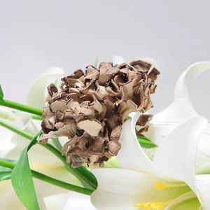 Maitake Qingyuan прямые поставки с фабрики (Maitake) галантерейные товары без серы новый товар 500 г коммерческие грибы на складе оптом