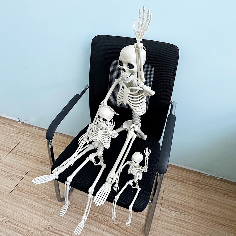 Helovīna simulācijas skeleta apdares kulonu butaforijas plastmasas cilvēka galvaskausa skelets var stāvēt locītavu kustīgs skelets_voghion.com