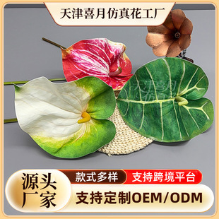 Դ�^�S�Ұ��滨��֦����zӰ���߷��氲�滨�����[���ٻ�����r��