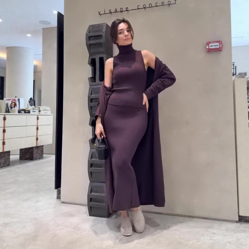 欧美女跨境外贸时尚2025秋新款高领打底针织毛衣长裙包臀长袖外套|undefined