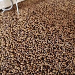 ˮ�̻�,ˮ��,����,����Ƥ,��؛��؛