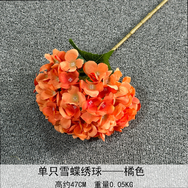 Solo nieve mariposa Hortensia naranja