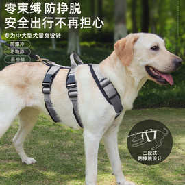 新款宠物牵引绳    防挣脱宠物胸背带易控制安全狗绳舒适宠物用品