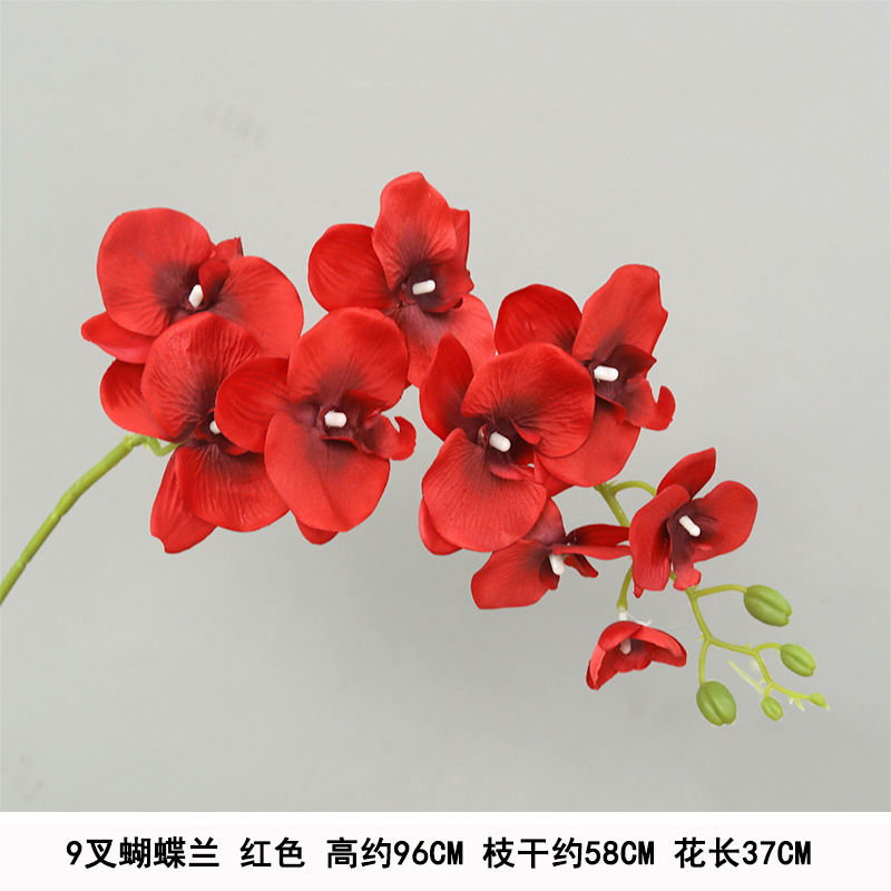 Long 9-pronged phalaenopsis red silk