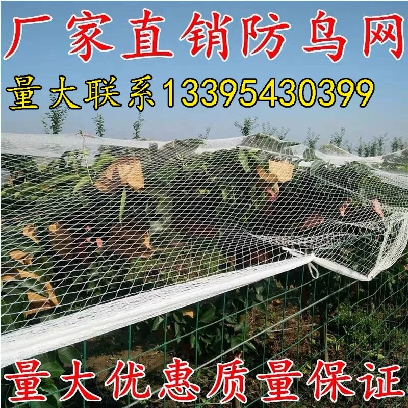 Нейлоновая сетка от птиц, сетка от птиц для фруктовых деревьев, проволочная сетка от птиц, сетка для виноградной теплицы, сетка для разведения птиц