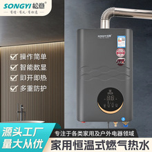 现货家用热水器松意恒温燃气热水器下进水6L8L天然气液化石油气
