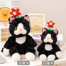 �羳��ƷС؈�M���ɐ�ë�q���п�ͨ����؈��ż��ͯŮ���Y�﹫��