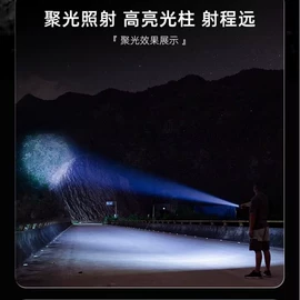手电筒;手电筒;野营/露营灯