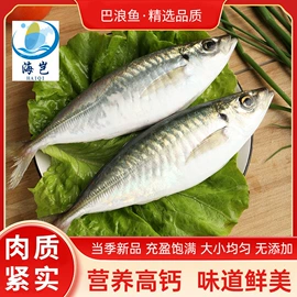 鱼类;水产干货类;贝类