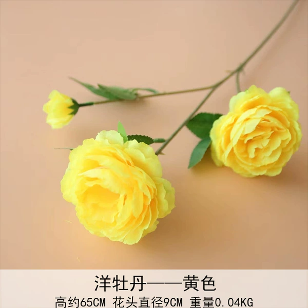 Yang Peony Yellow
