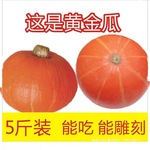 红皮南瓜新鲜黄金瓜老倭瓜轻食南瓜万圣节雕刻手工南瓜