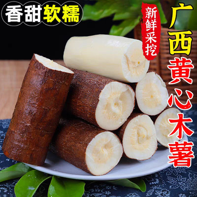 [广西新鲜华南9号黄心木薯 粉糯香甜黄肉木薯奶茶店糖水店专用应季]
