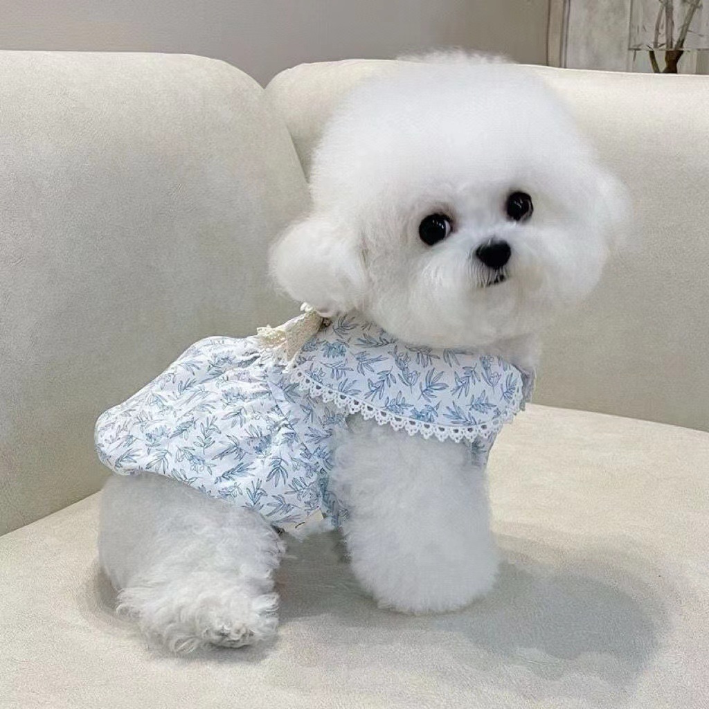 견인 버클이 달린 여름 얇은 개 옷 프랑스 꽃 요정 스커트 새로운 애완 동물 비숑 테디 고양이