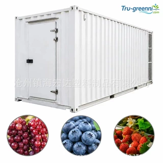 跨境专供有机叶菜集装箱植物工厂立体无土栽培方型水培管道种植