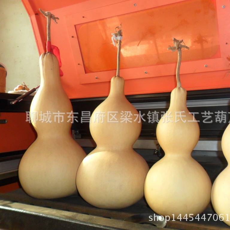 天然葫芦挂件自然生长文玩小葫芦把件家居室内装饰品特大葫芦摆件