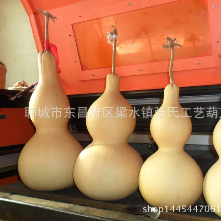 天然葫芦挂件自然生长文玩小葫芦把件家居室内装饰品特大葫芦摆件