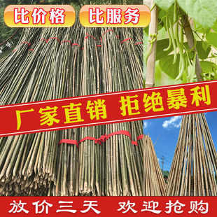 �S�ϷN�����ټ�����֧�܇�����U���ѻh�ʶ���������Ͳˈ@��ܗU