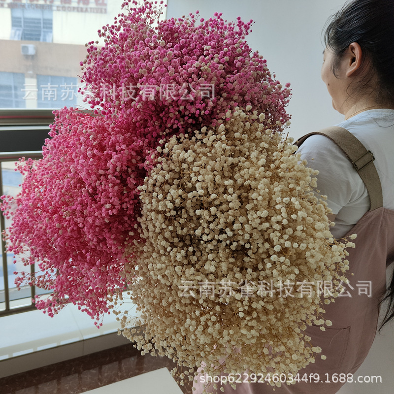 Wholesale Yunnan Ganhua Eternal Flower Flowers Di Flower DIY Bouquet…