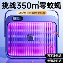 2025�¿���ß�������������҃Ȝ�ω���͏d�����Ӝ���������