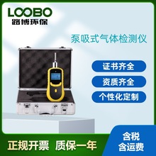 LB-BZ泵吸式甲醛（CH20）气体检测仪 电化学原理传感器