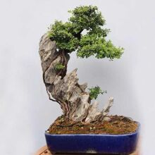 ɽˮ·辰ʯ^ʯ䱧ʯԭʯ쾰СbƷ[