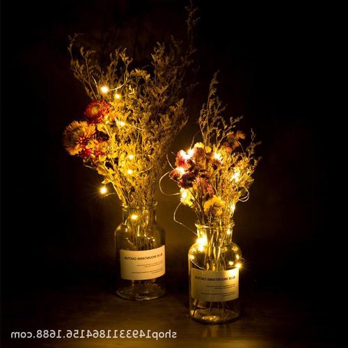 Solar wine bottle stopper light led copper wire bottle stopper light string wedding Christmas decoration manufacturer gift wine bottle light